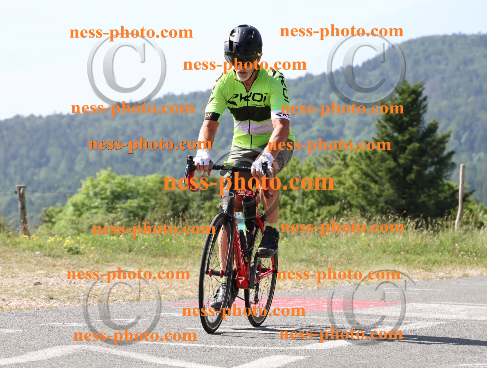 Col du grand Colombier (496).JPG