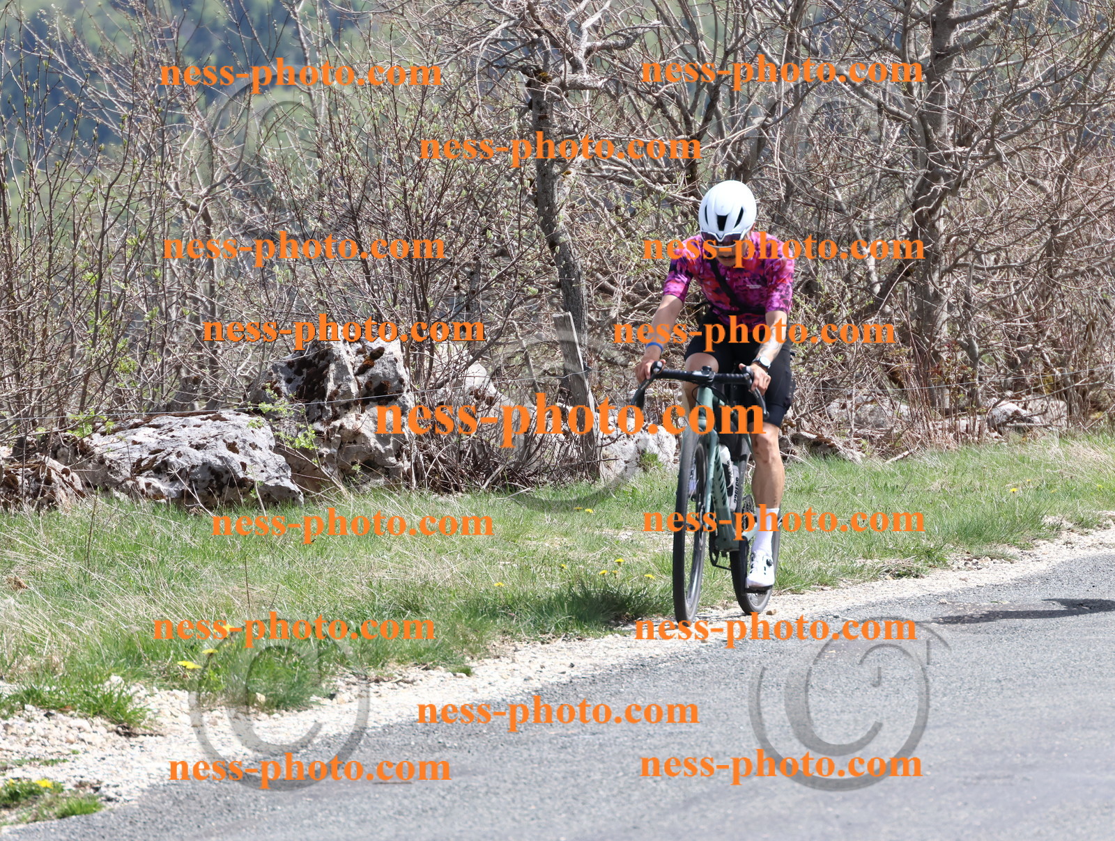 Col du Grand Colombier (986).JPG