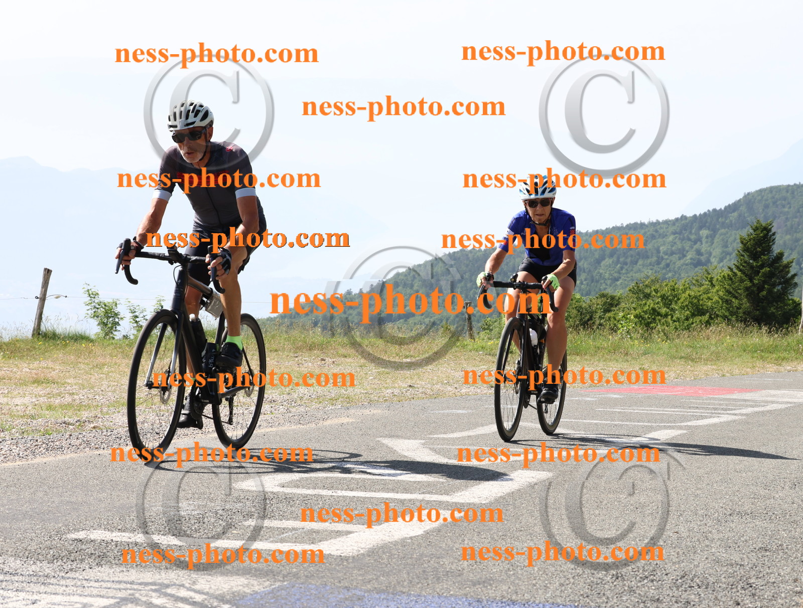 Col du grand Colombier (586).JPG