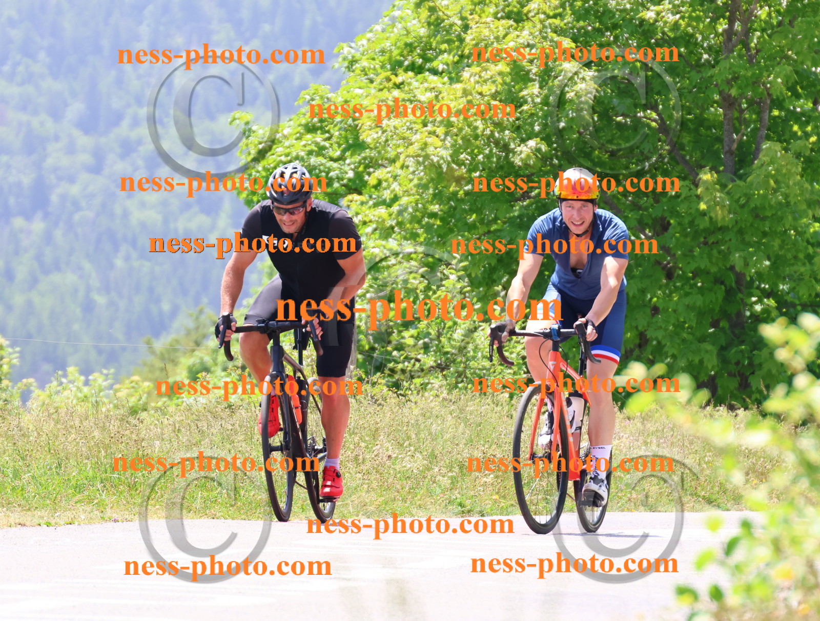 Col du grand Colombier (2849).JPG