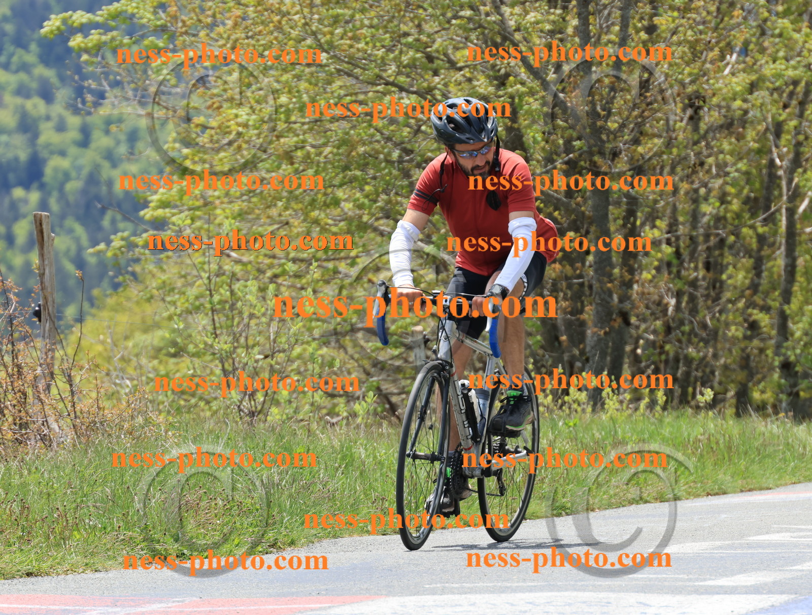 Col du Grand Colombier (327).JPG