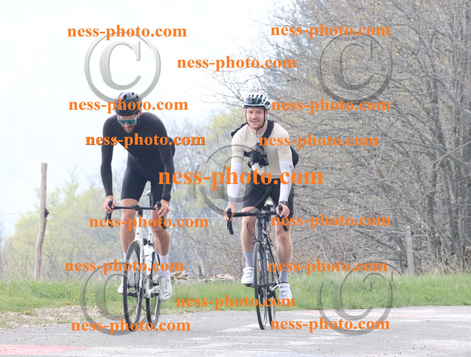 Col du Grand Colombier (135).JPG