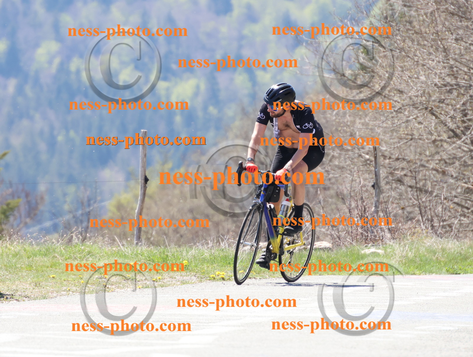 Col du Grand Colombier (307).JPG