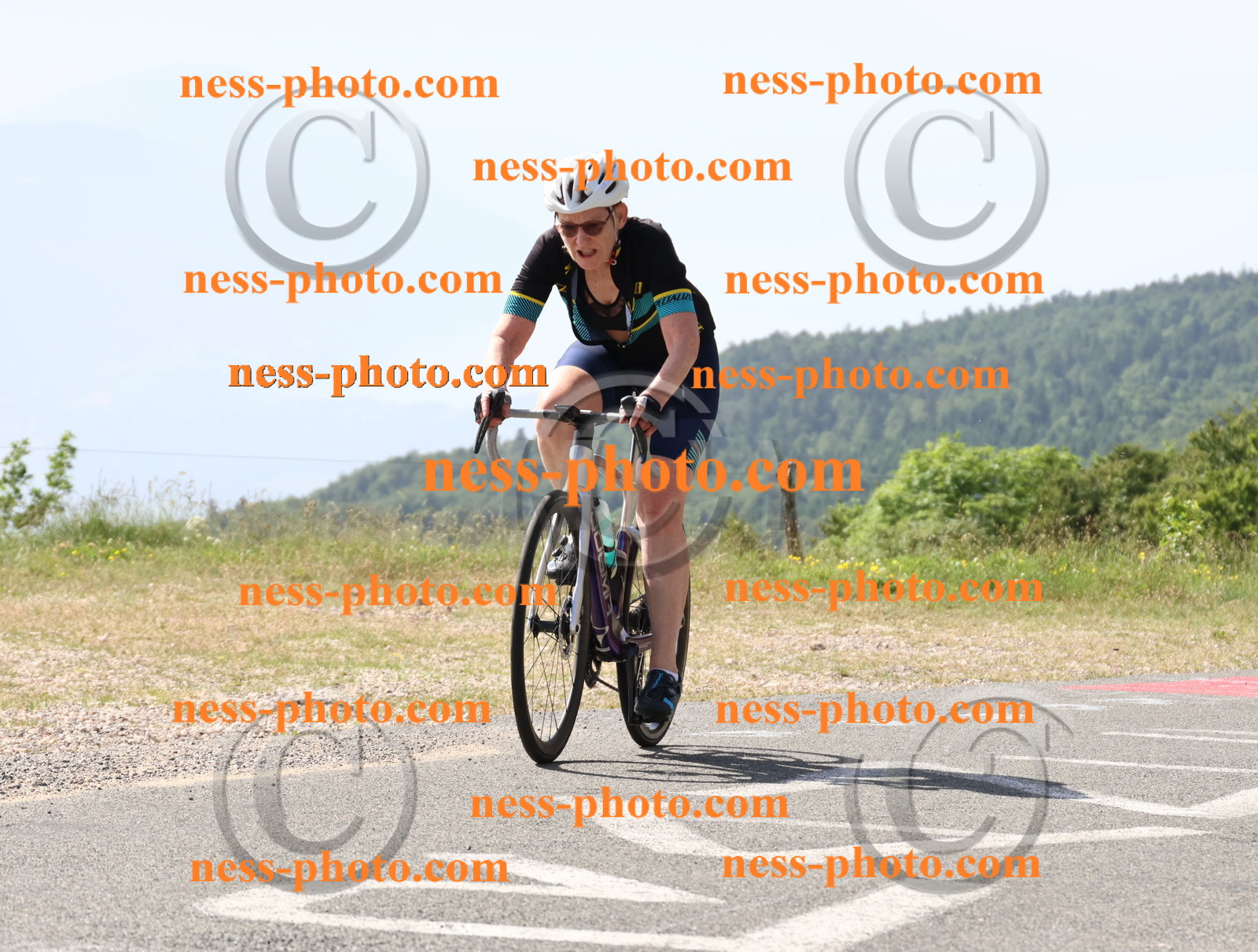 Col du grand Colombier (764).JPG