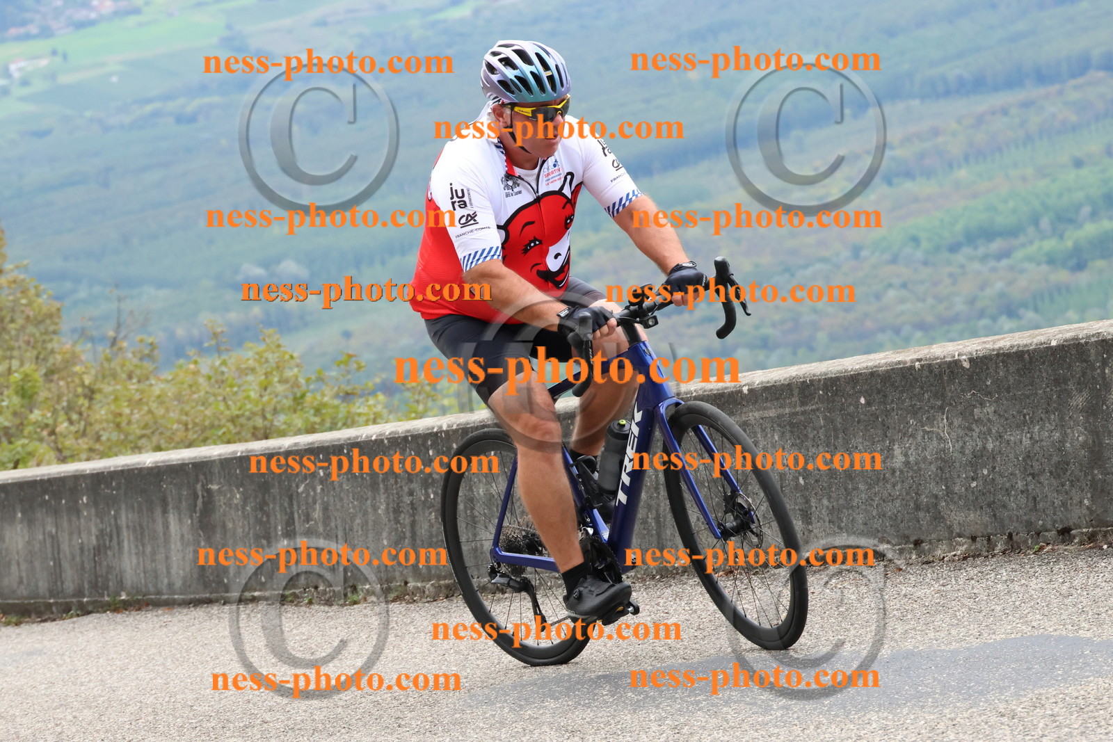 Col du Grand Colombier (395).JPG