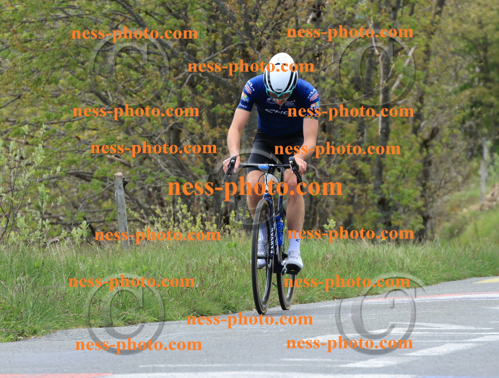 Col du Grand Colombier (425).JPG