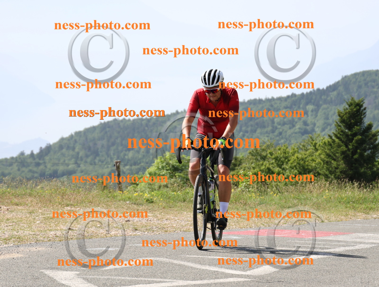 Col du grand Colombier (789).JPG