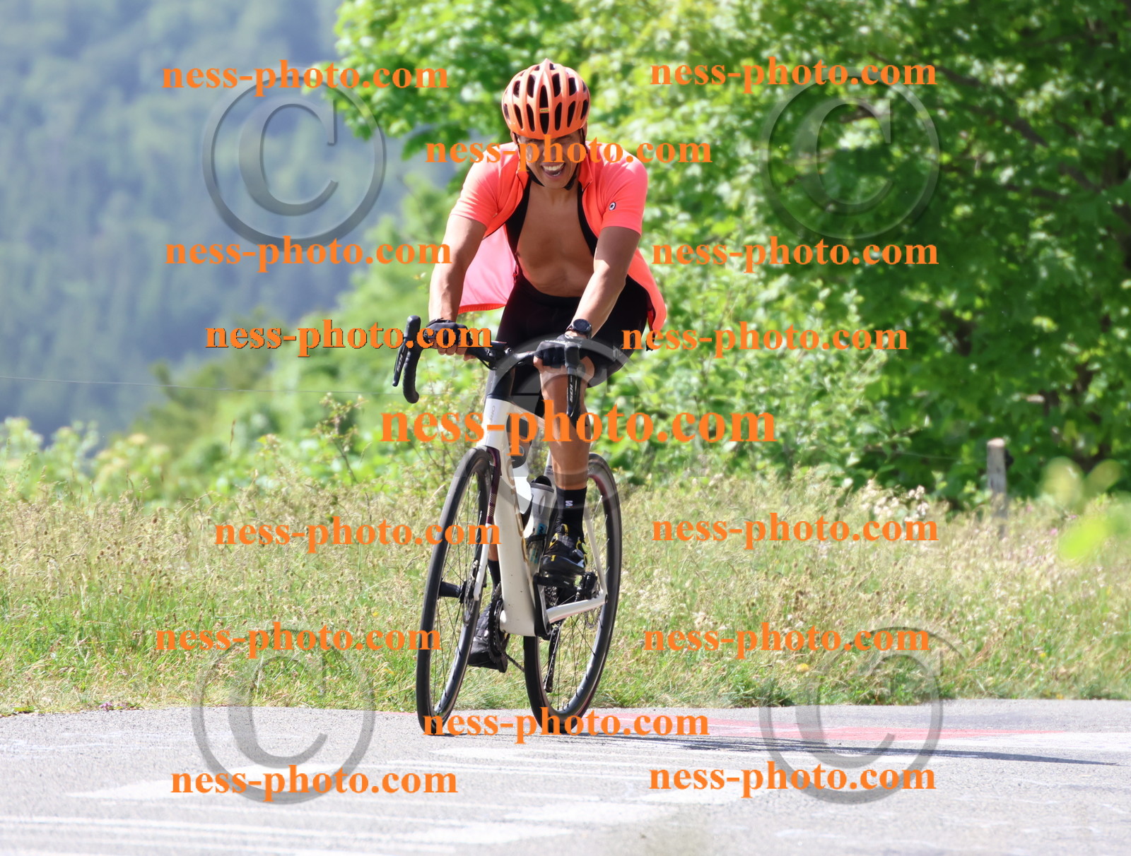 Col du grand Colombier (963).JPG