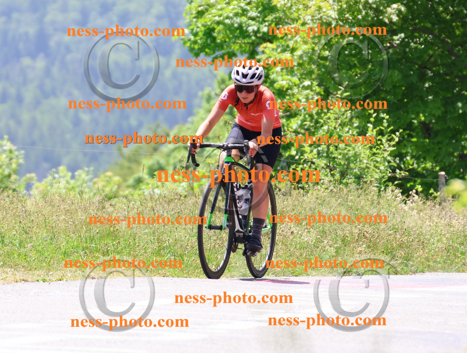 Col du grand Colombier (2714).JPG