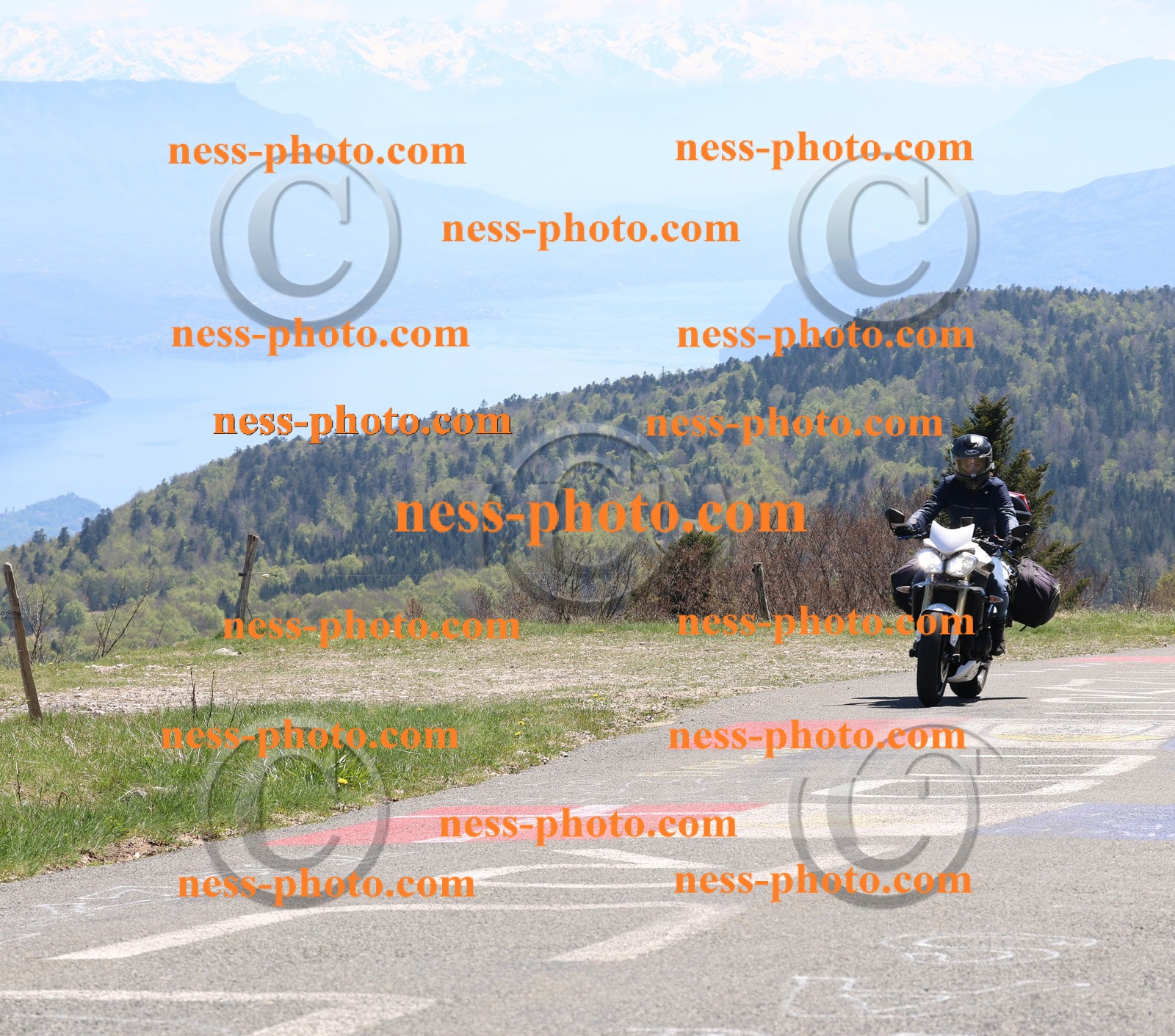 Col du Grand Colombier (165).JPG