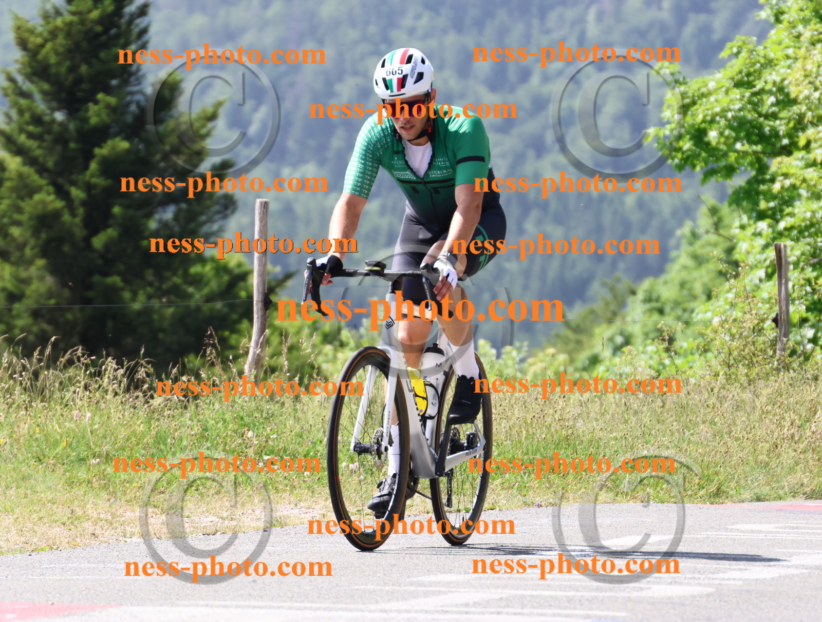 Col du grand Colombier (1235).JPG