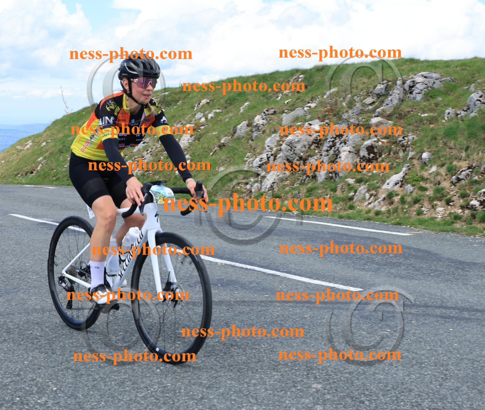 Col du Grand Colombier (2647).JPG