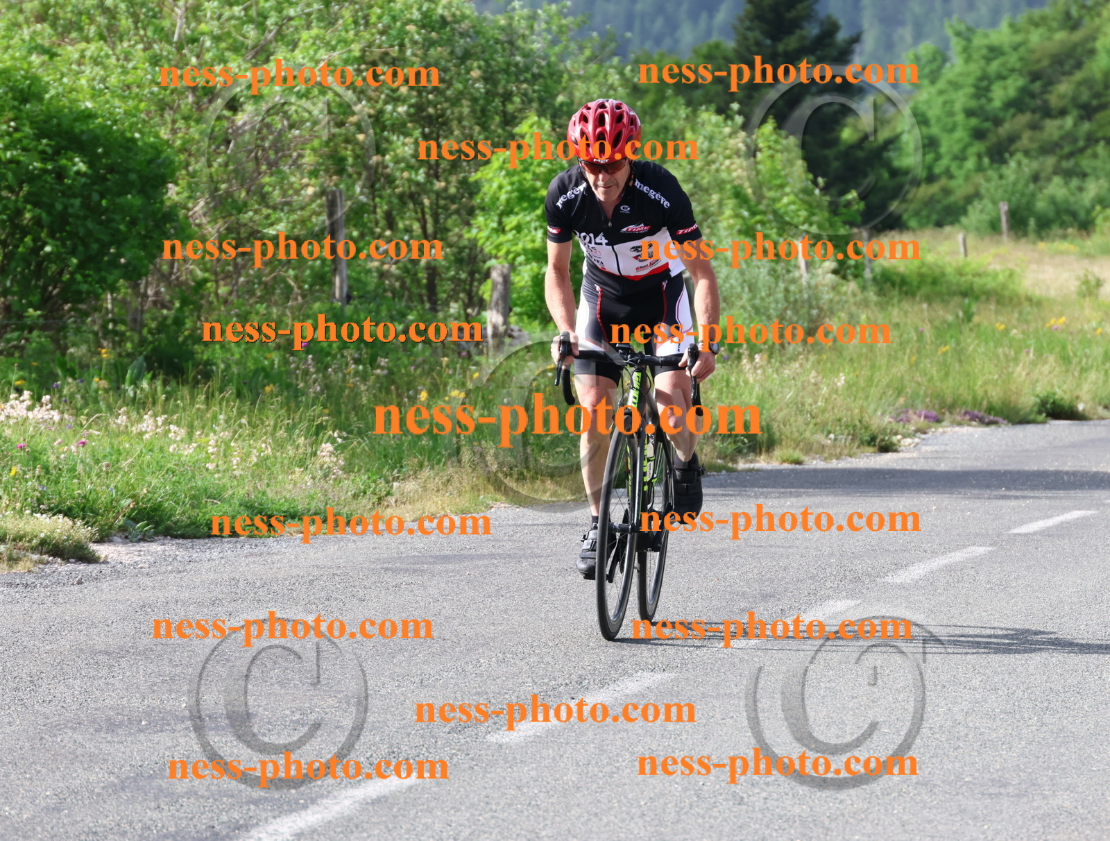 Col du grand Colombier (26).JPG