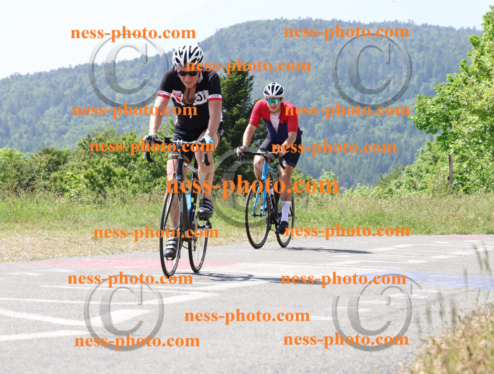 Col du grand Colombier (1598).JPG