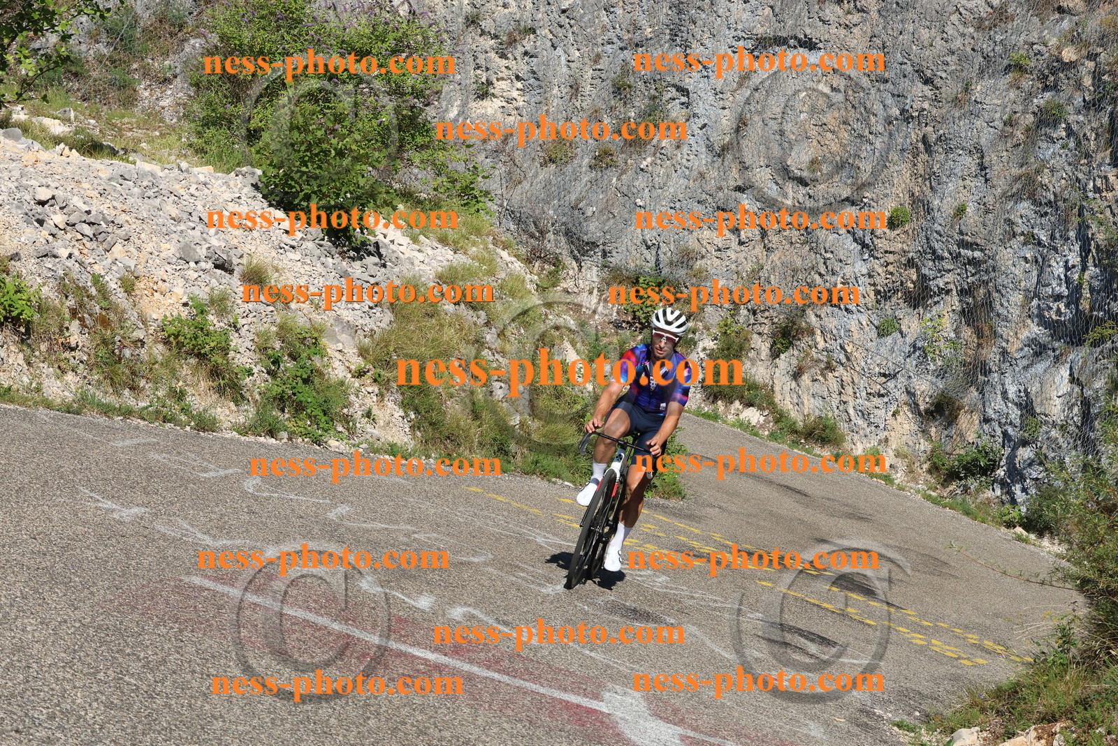 Col du Grand Colombier (183).JPG