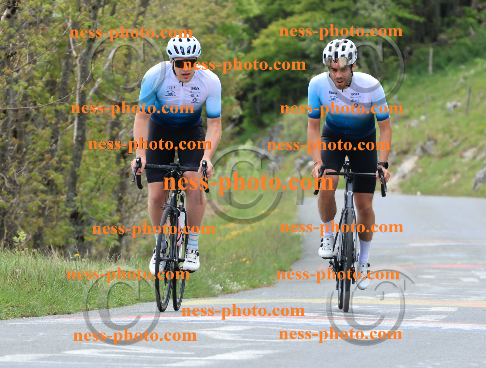 Col du Grand Colombier (468).JPG