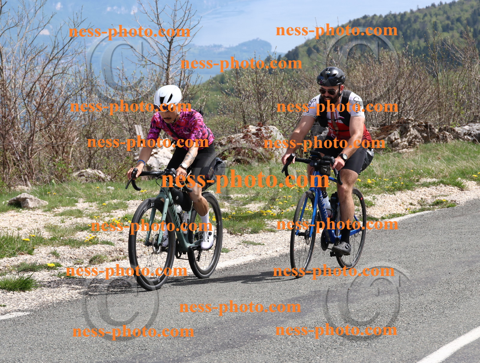 Col du Grand Colombier (991).JPG