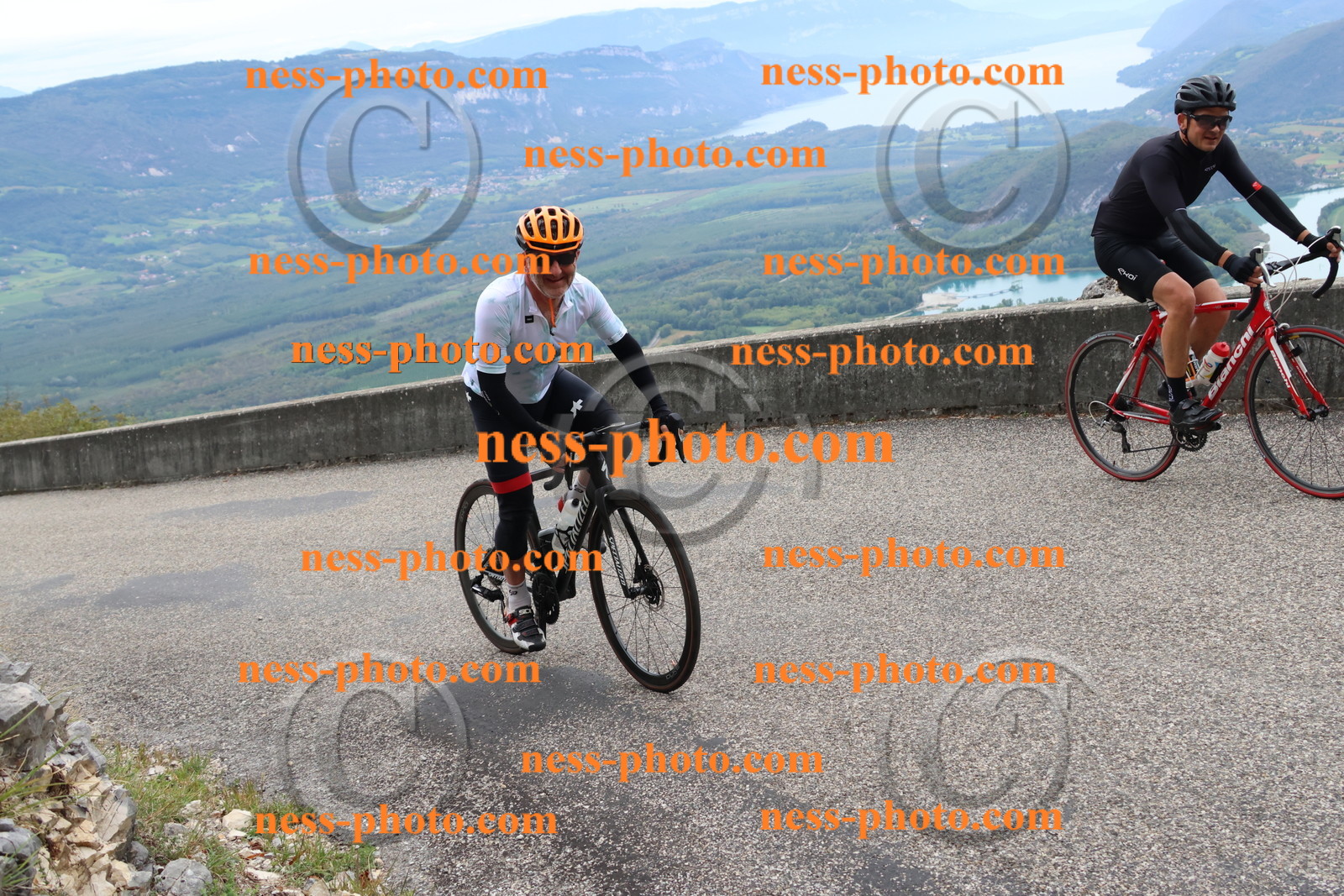Col du Grand Colombier (1381).JPG
