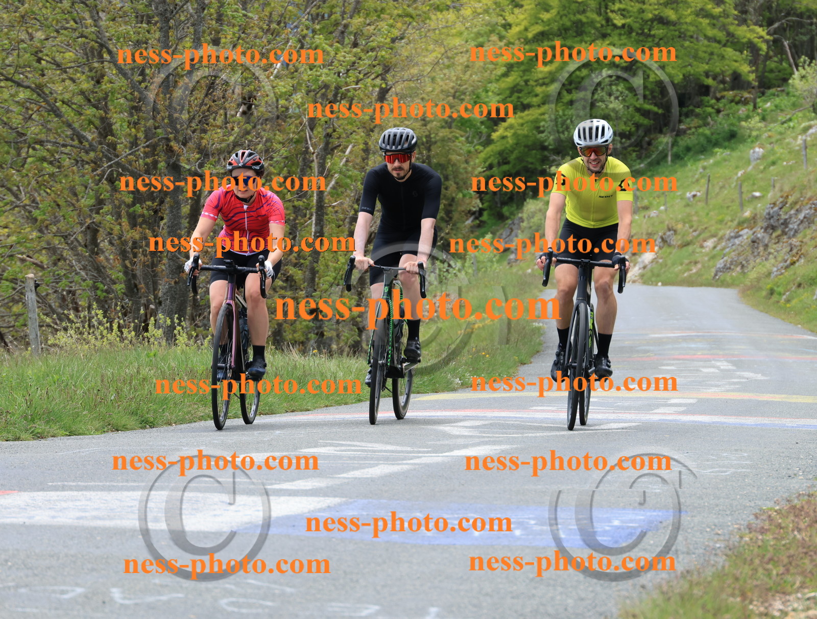 Col du Grand Colombier (445).JPG