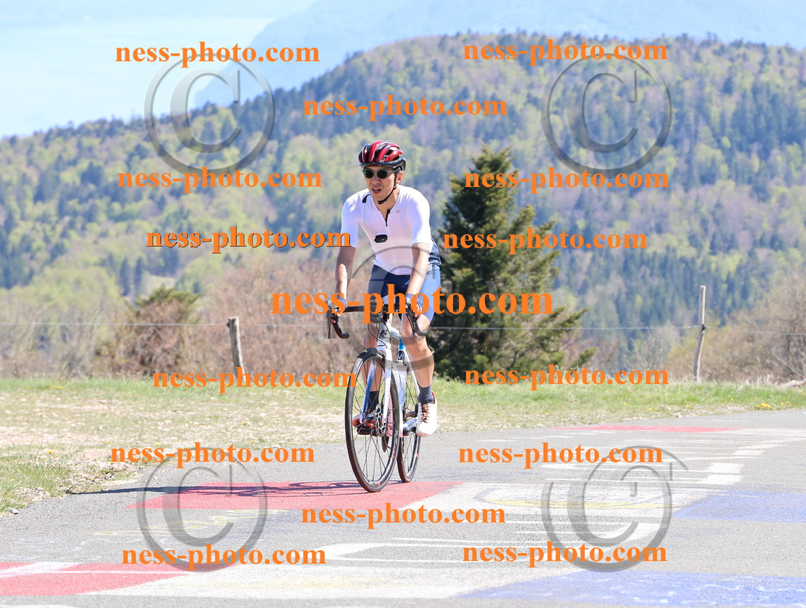 Col du Grand Colombier (1061).JPG