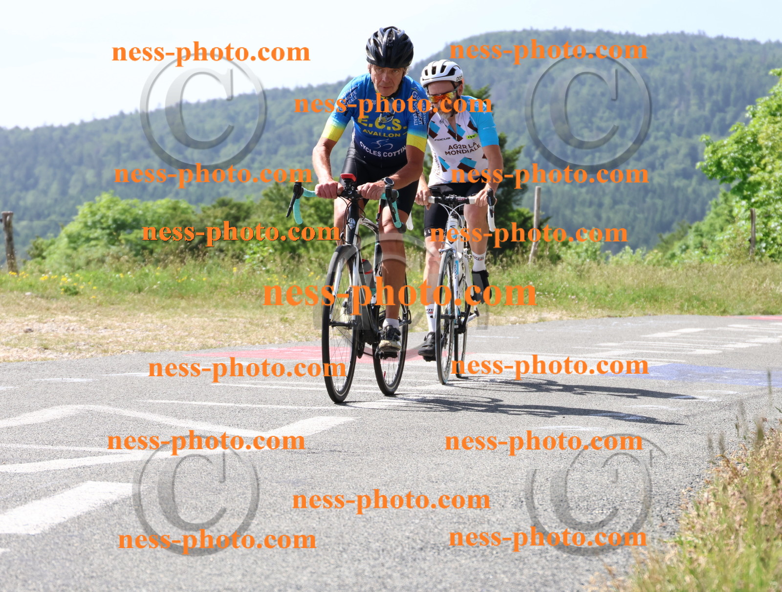 Col du grand Colombier (1069).JPG