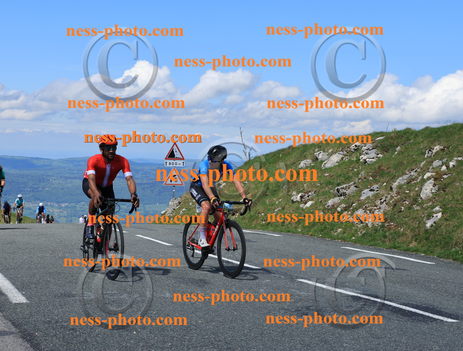 Col du Grand Colombier (1365).JPG