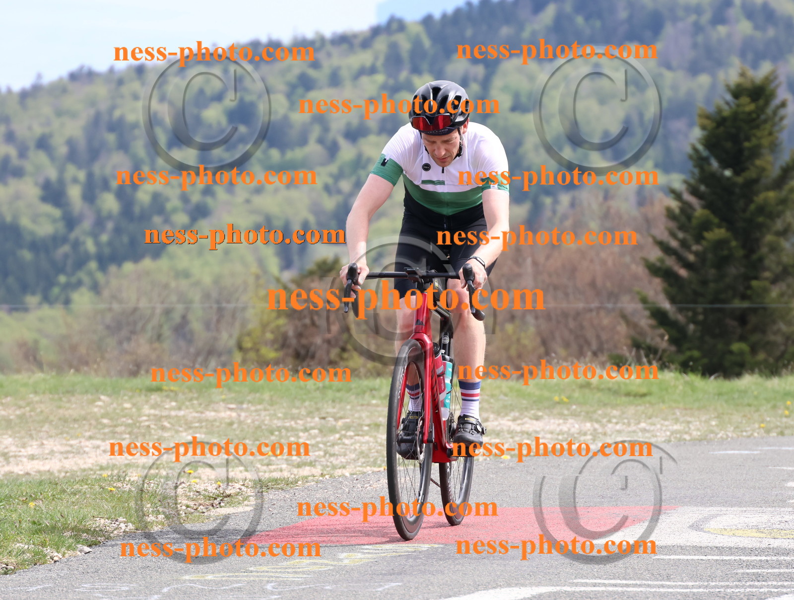 Col du Grand Colombier (1126).JPG