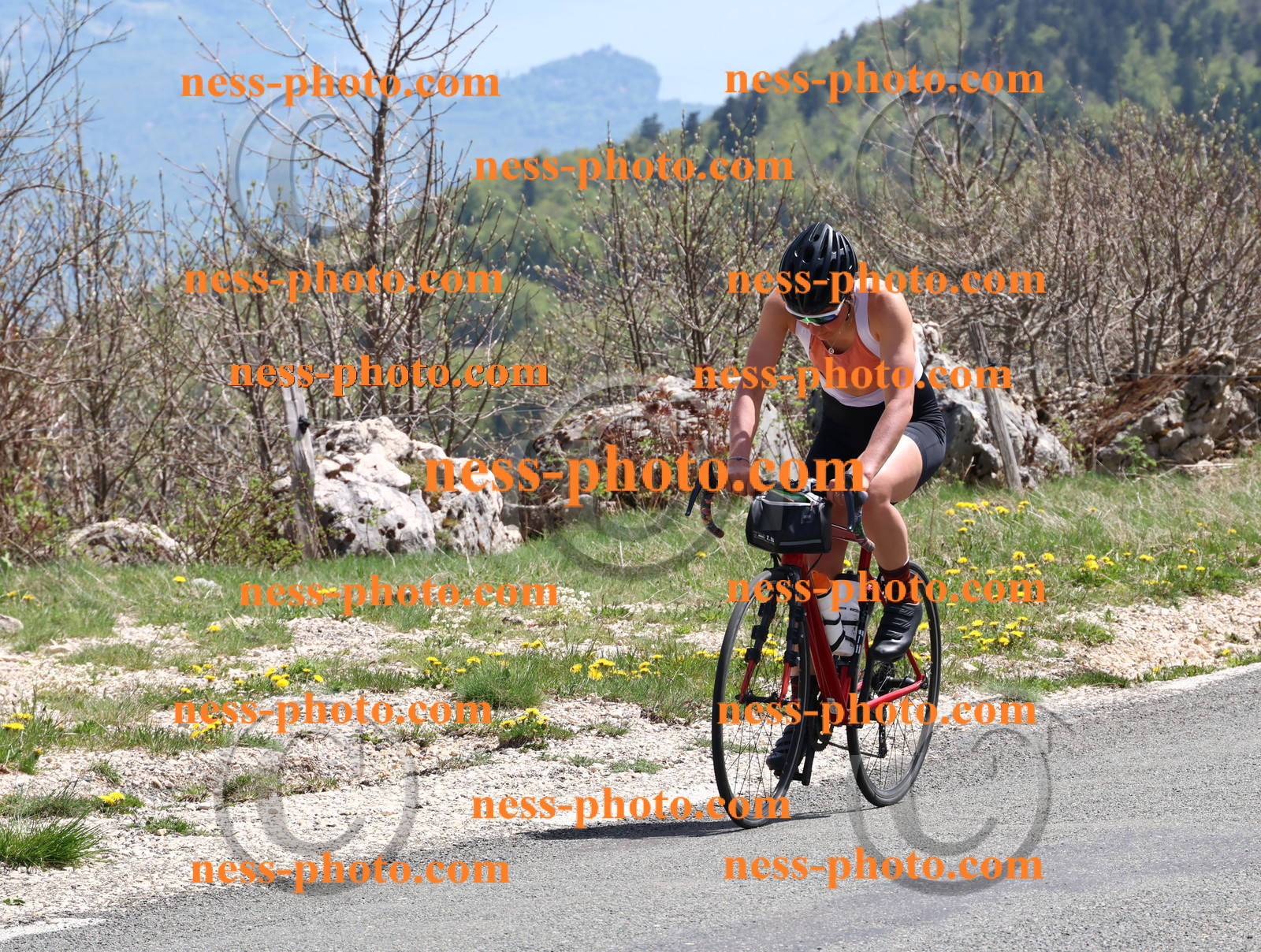 Col du Grand Colombier (835).JPG