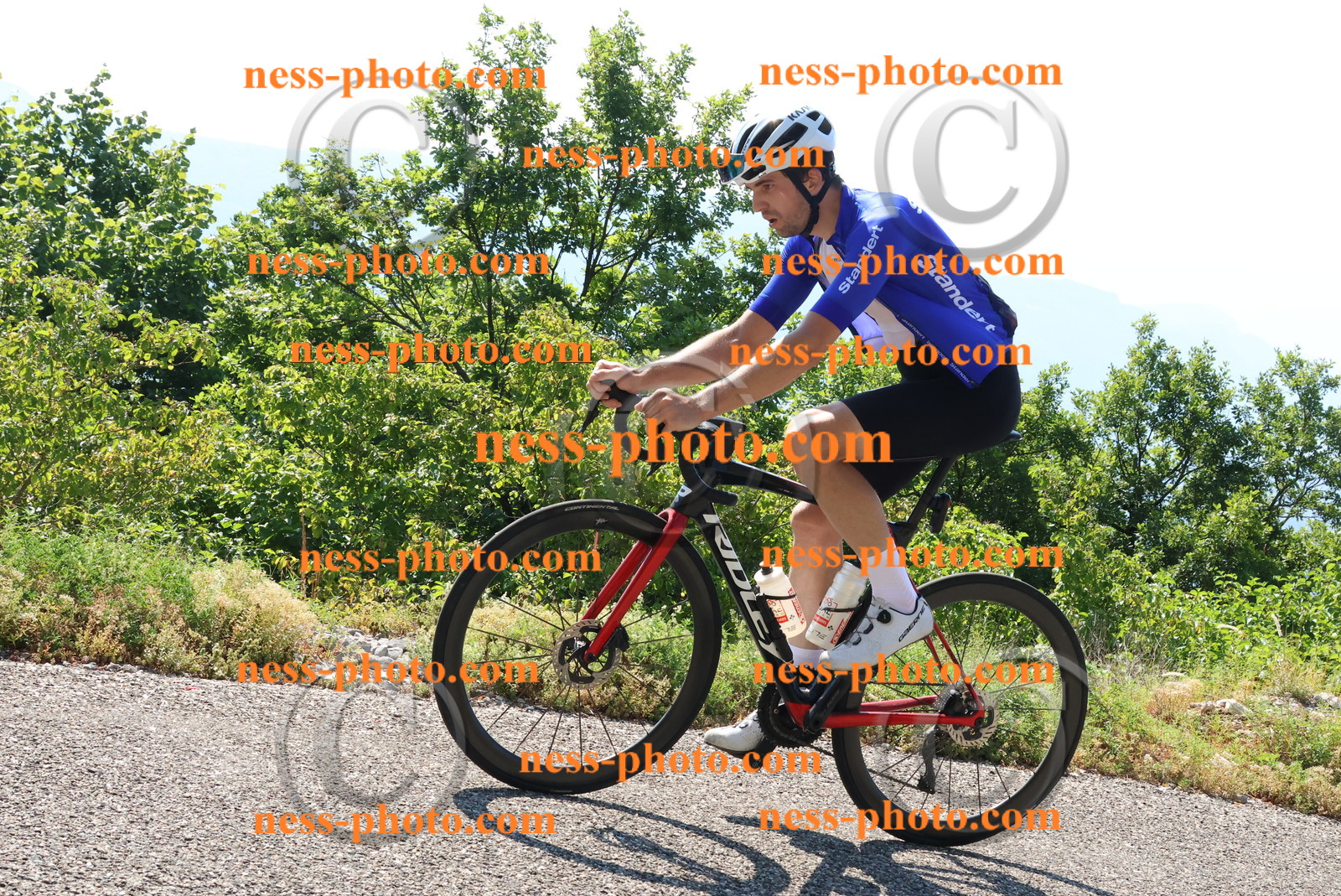 Col du Grand Colombier (247).JPG