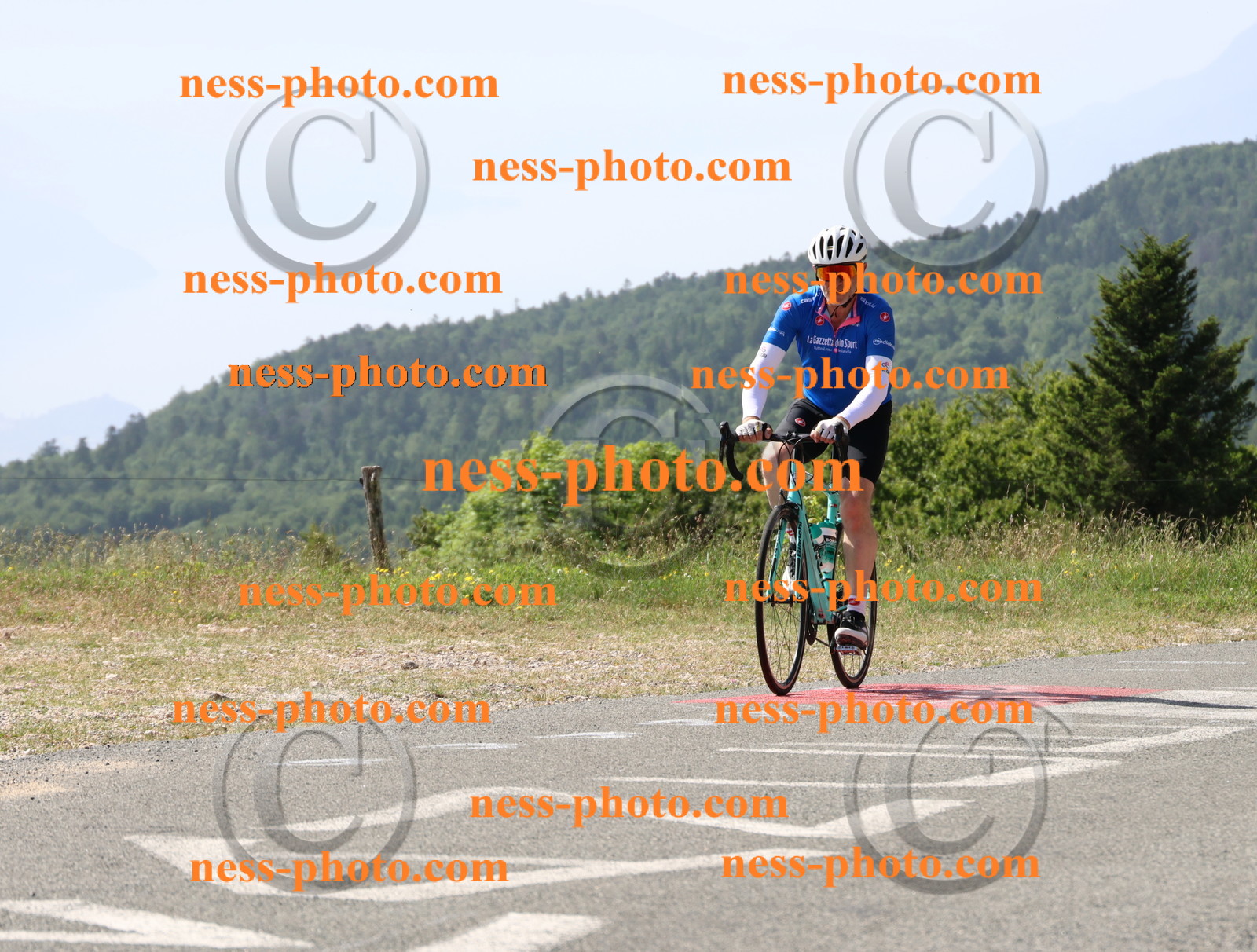 Col du grand Colombier (778).JPG