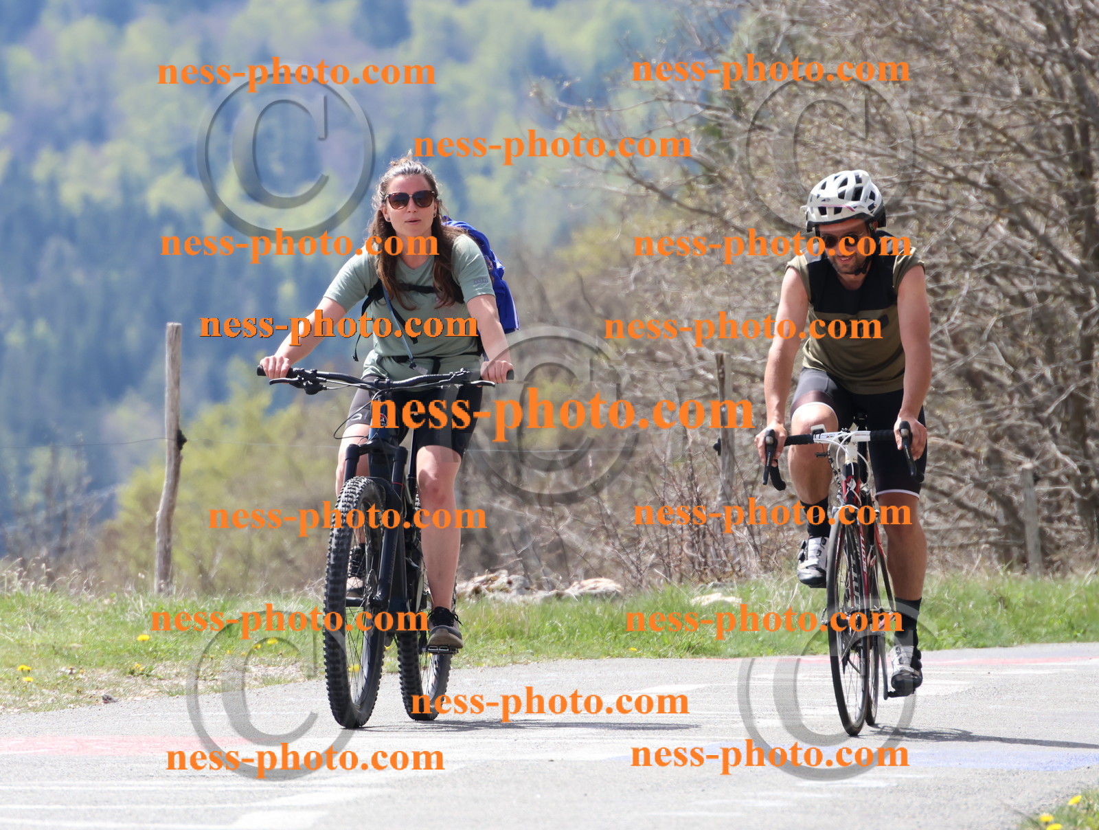 Col du Grand Colombier (69).JPG