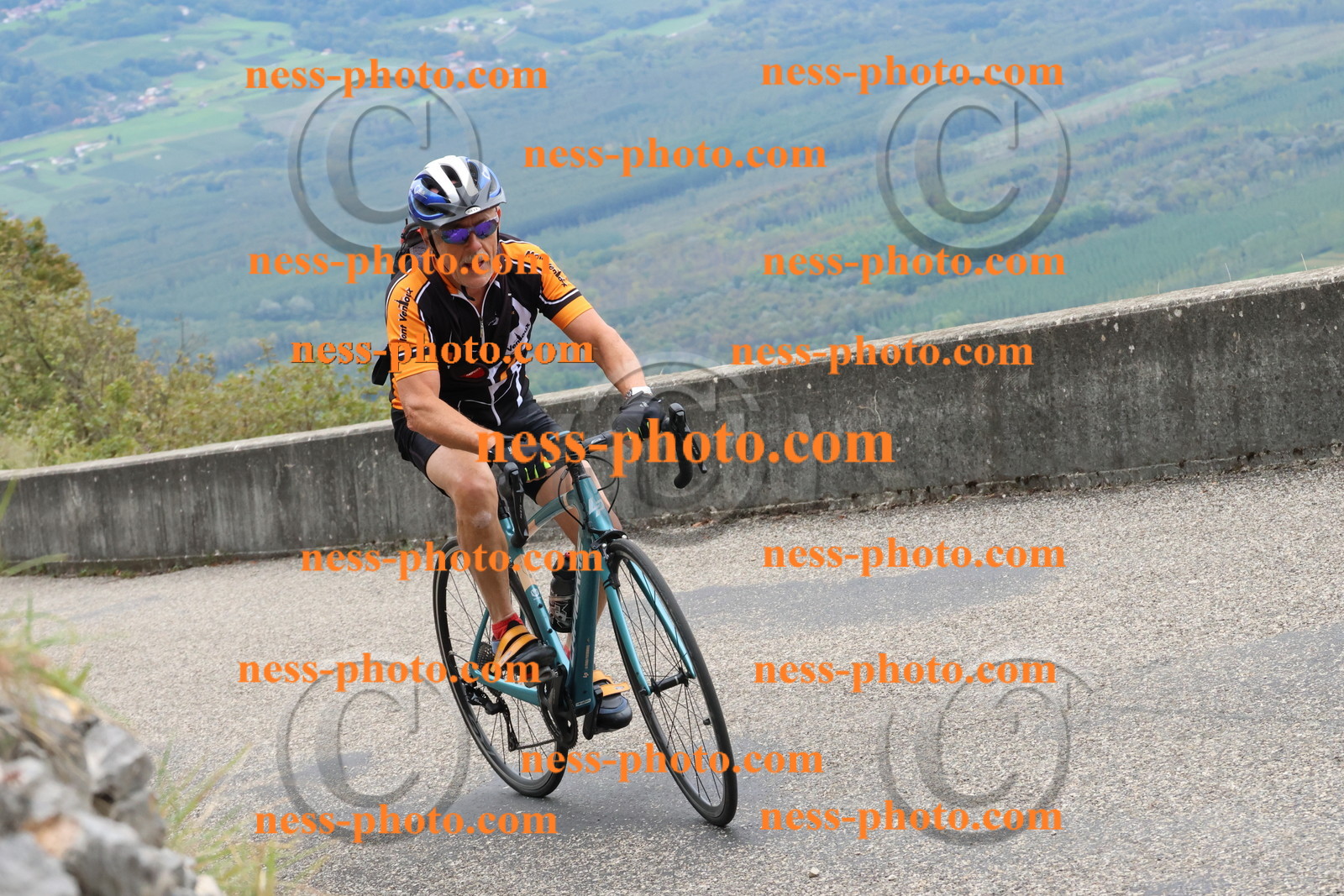 Col du Grand Colombier (1264).JPG