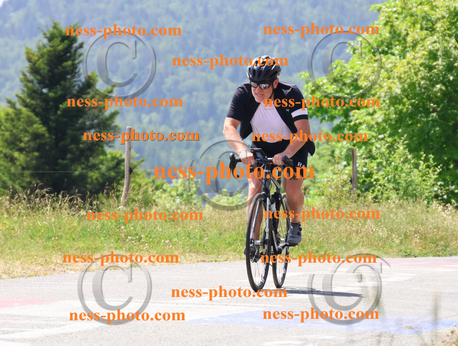 Col du grand Colombier (2459).JPG