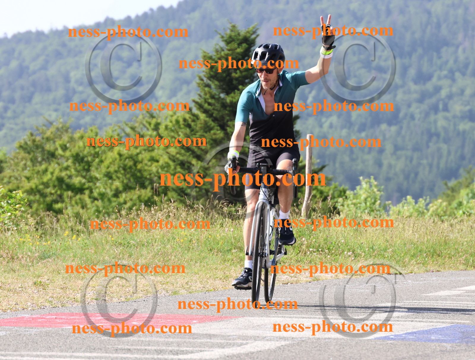 Col du grand Colombier (178).JPG