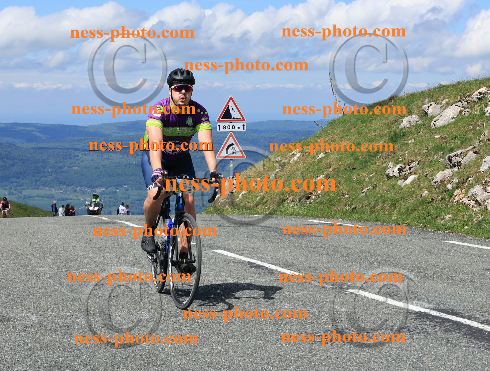 Col du Grand Colombier (1471).JPG