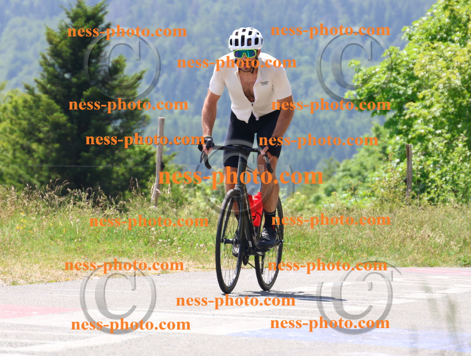 Col du grand Colombier (2527).JPG