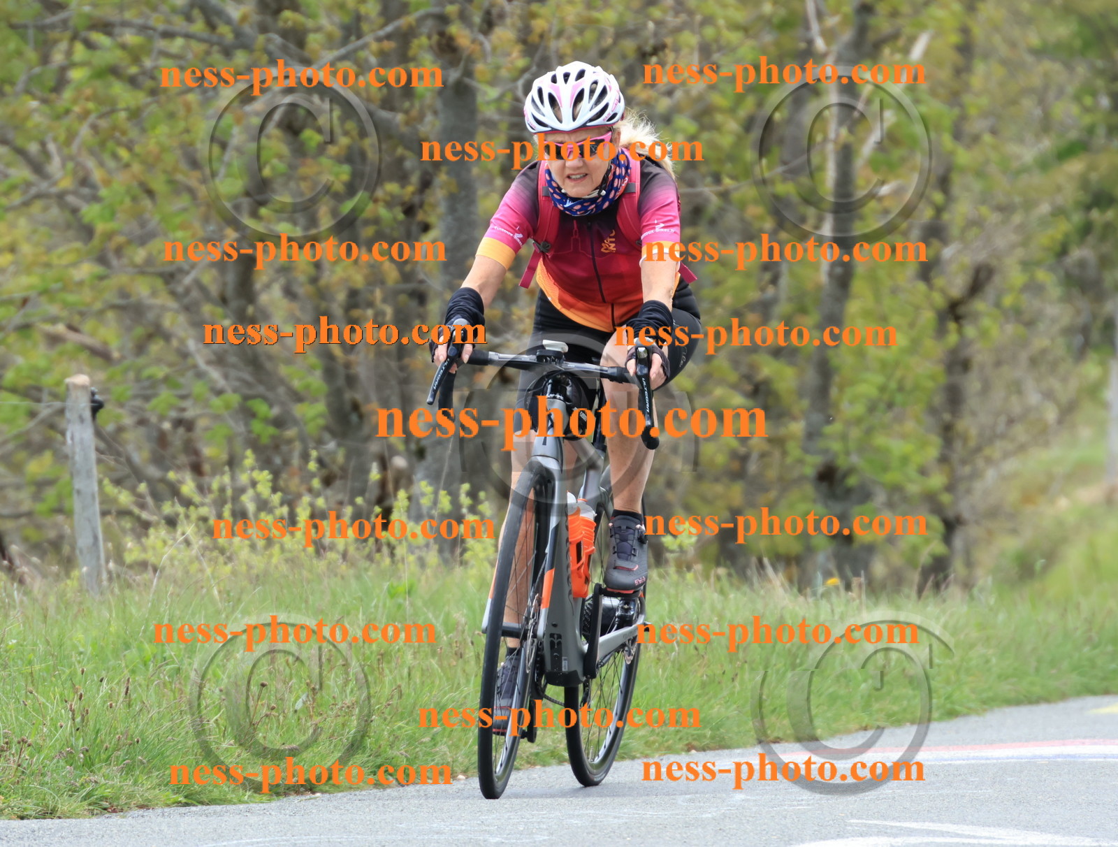 Col du Grand Colombier (408).JPG