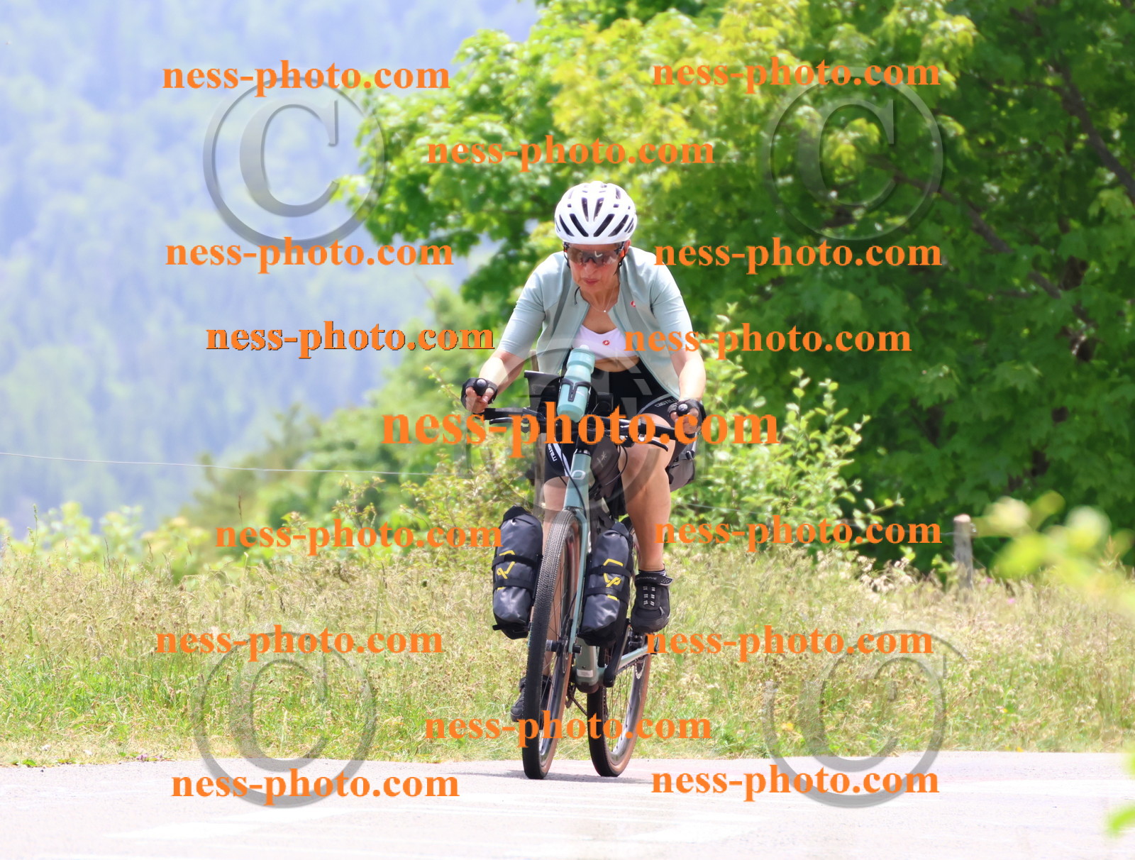 Col du grand Colombier (3053).JPG