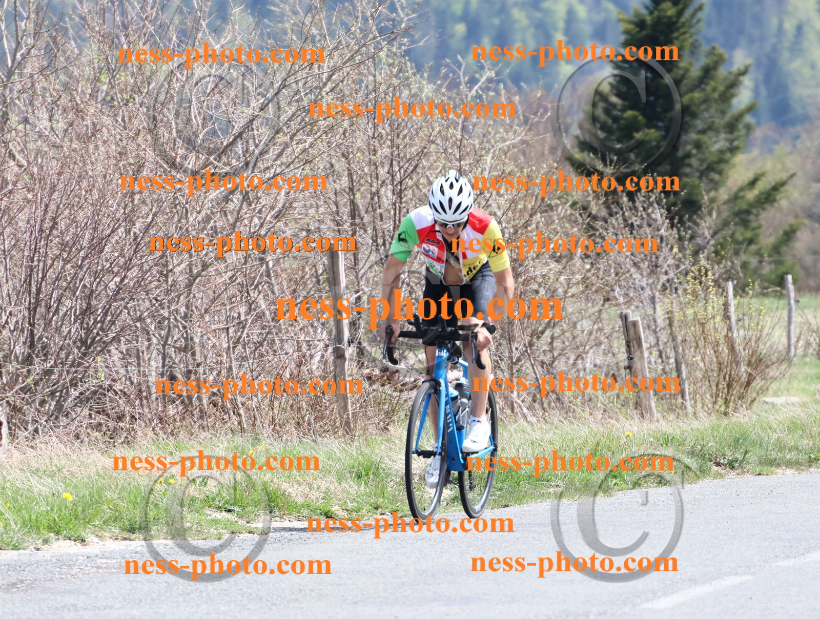 Col du Grand Colombier (995).JPG