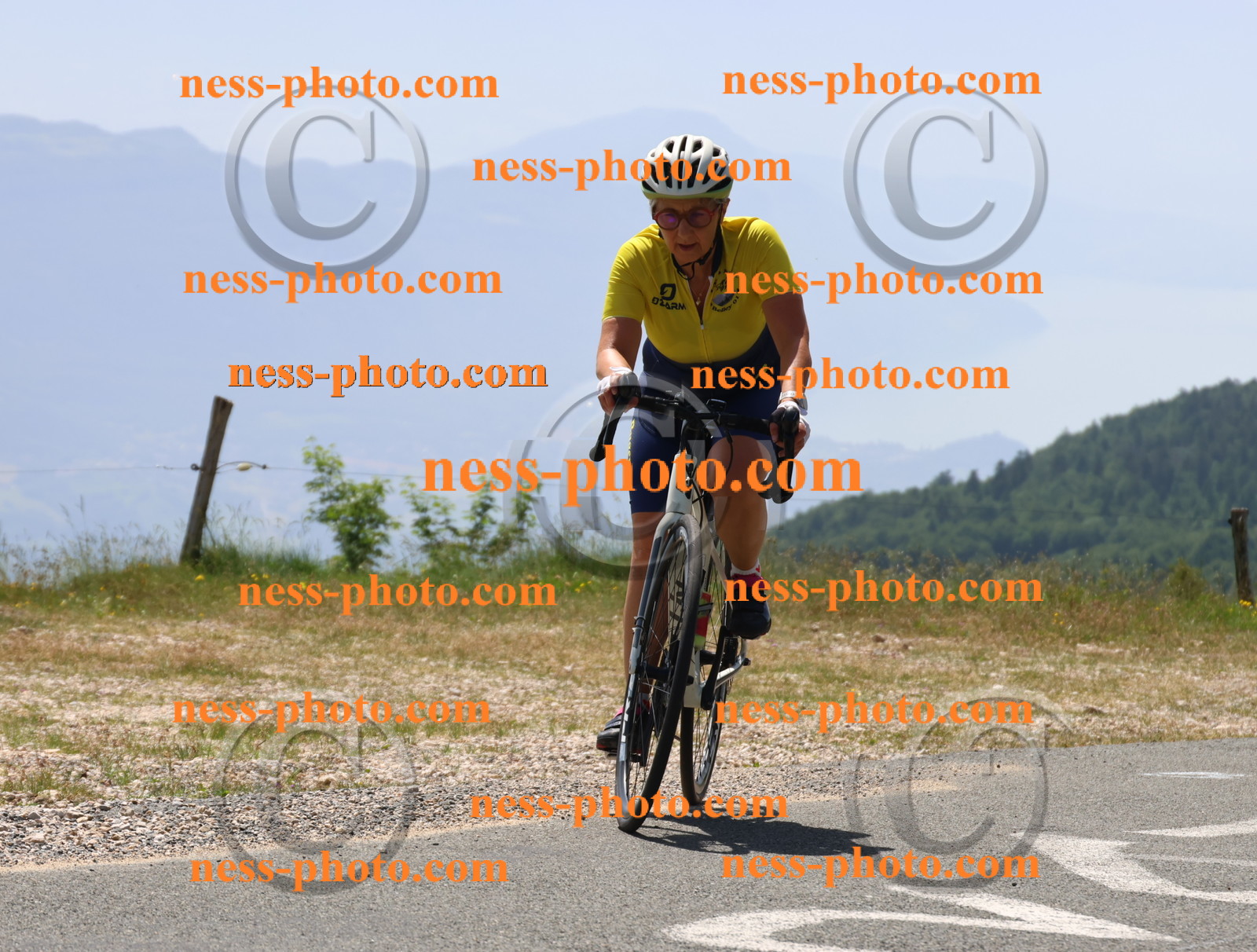 Col du grand Colombier (2446).JPG