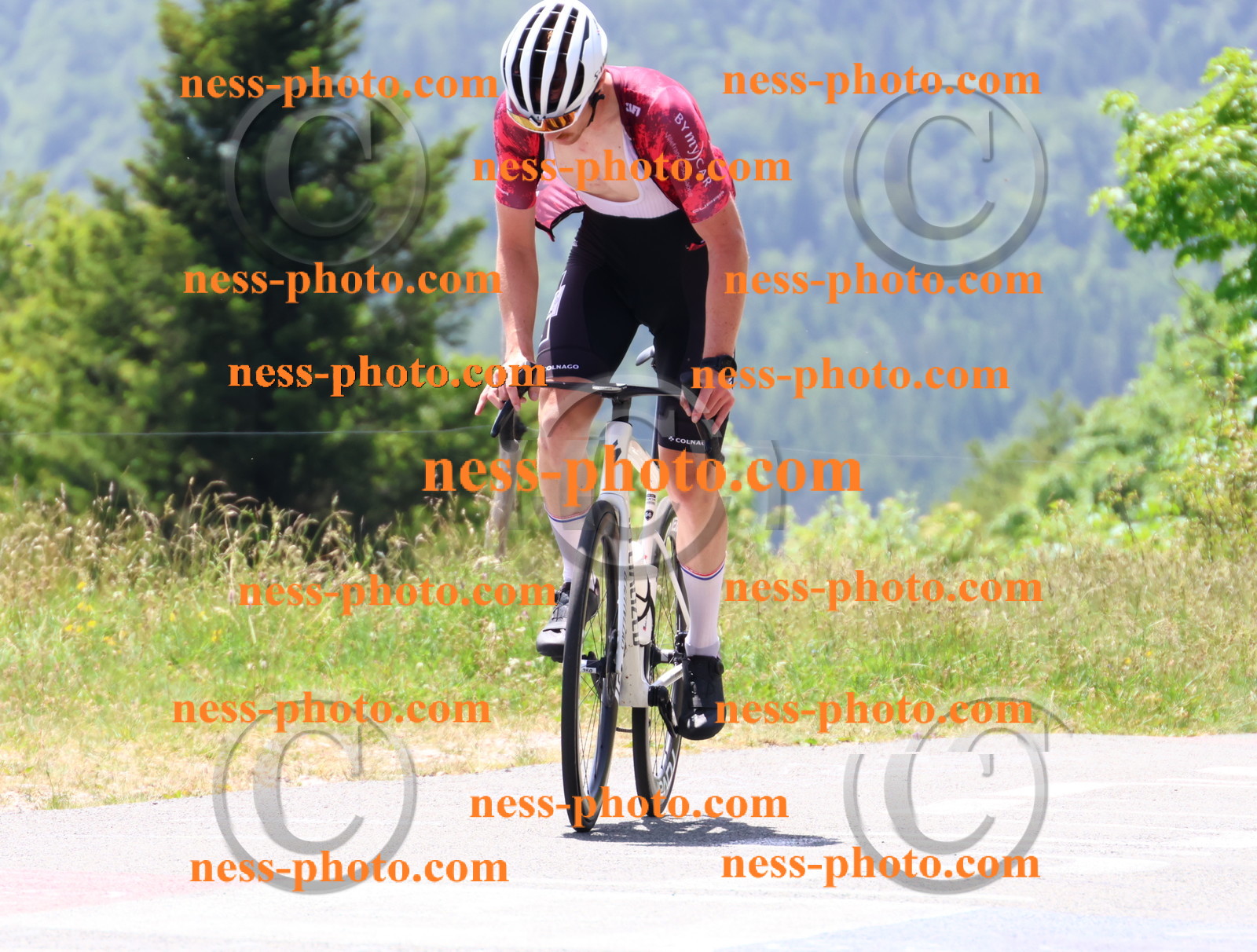 Col du grand Colombier (2731).JPG