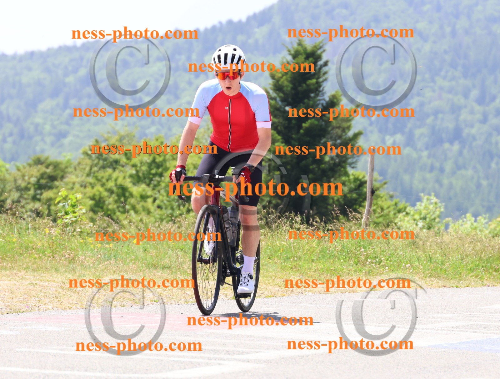 Col du grand Colombier (2493).JPG