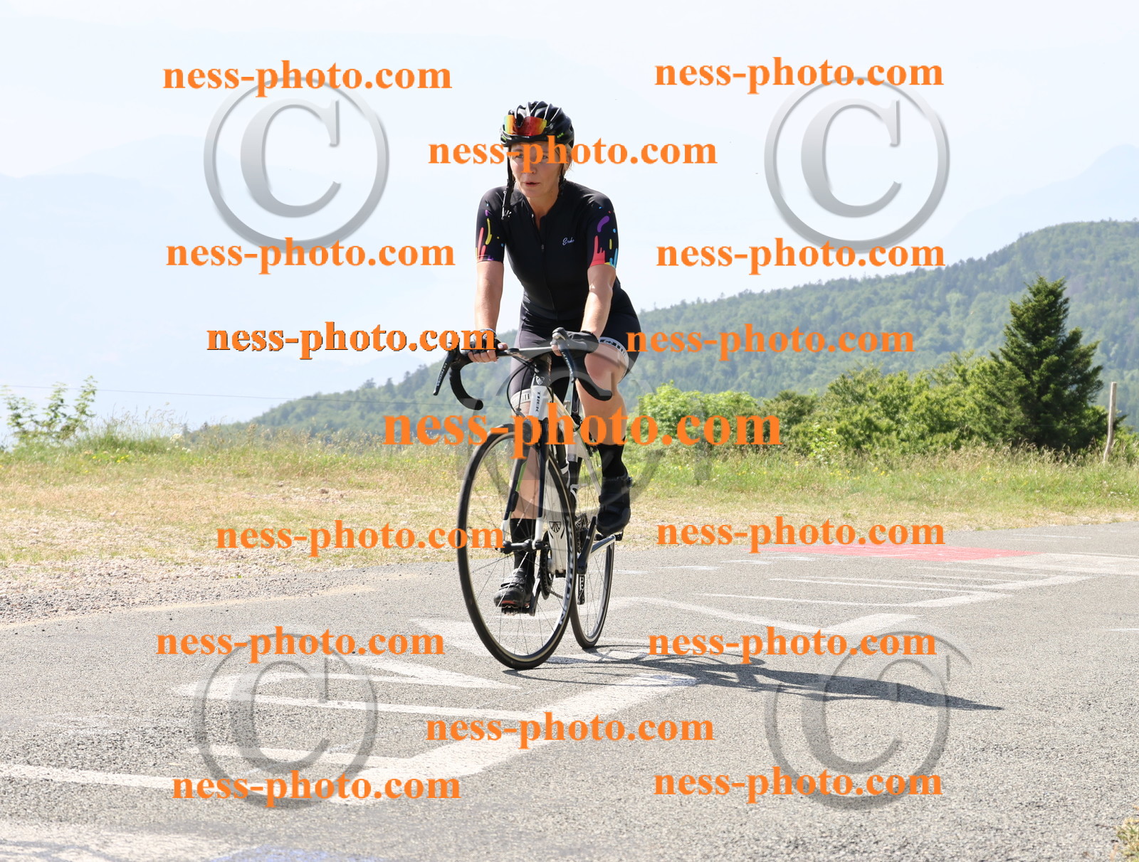 Col du grand Colombier (868).JPG