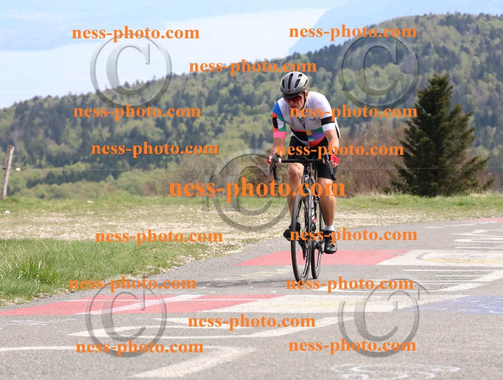 Col du Grand Colombier (1093).JPG