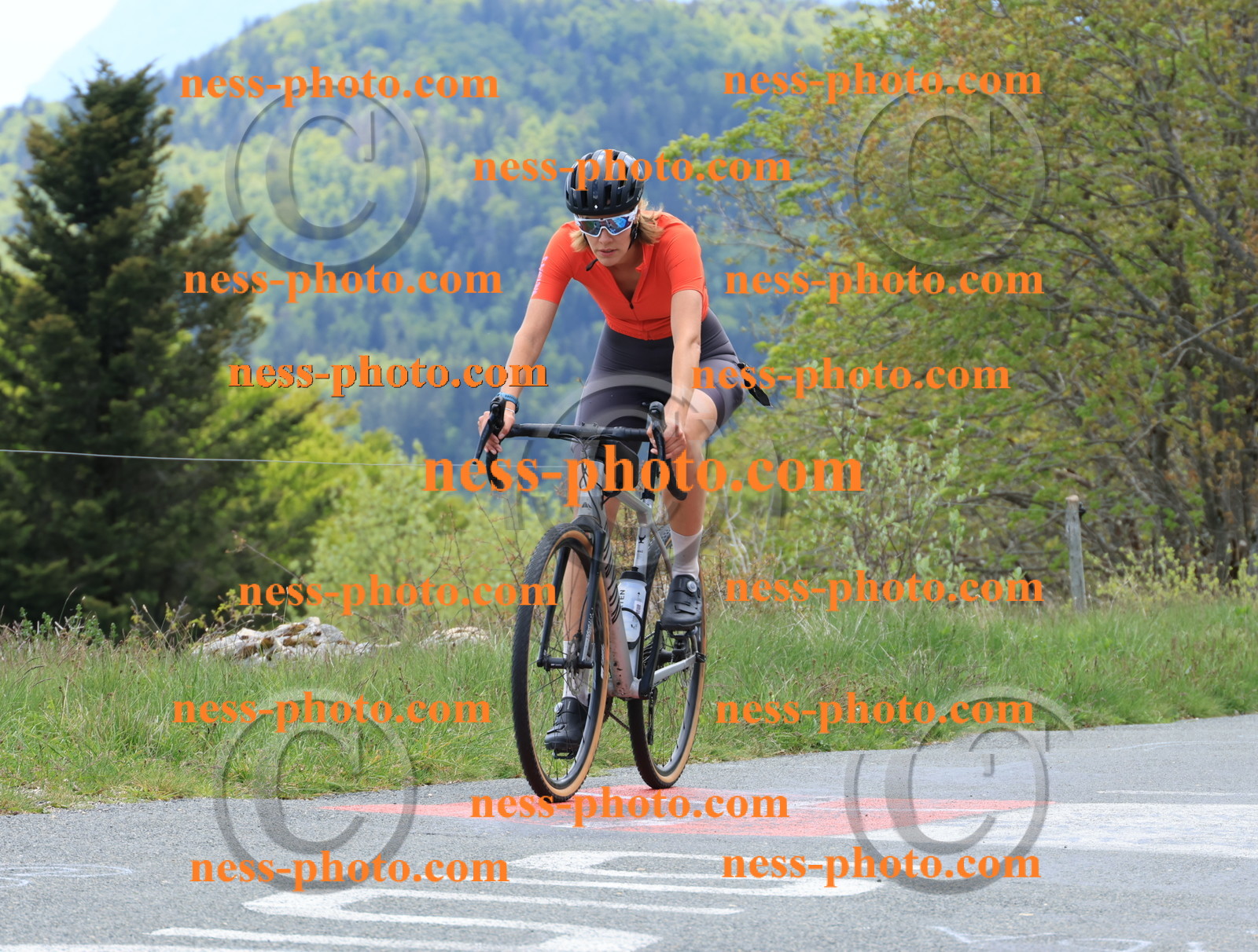 Col du Grand Colombier (391).JPG