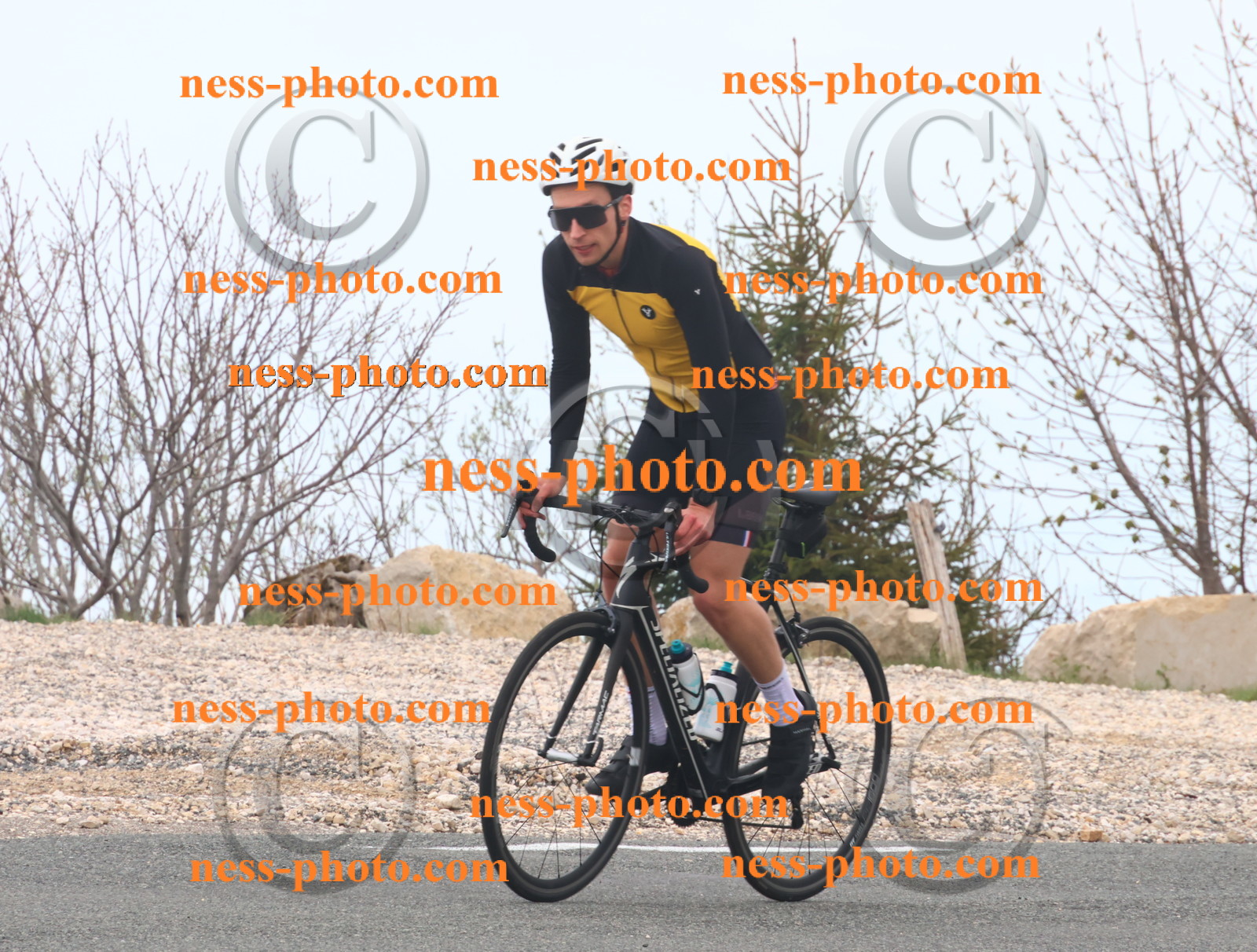 Col du Grand Colombier (82).JPG