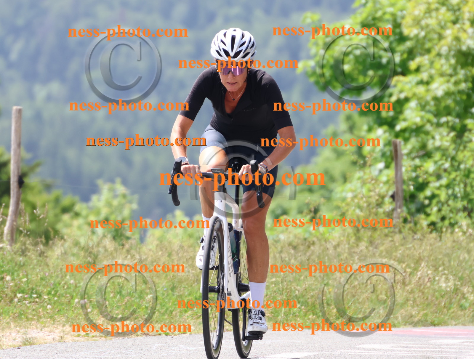 Col du grand Colombier (2075).JPG