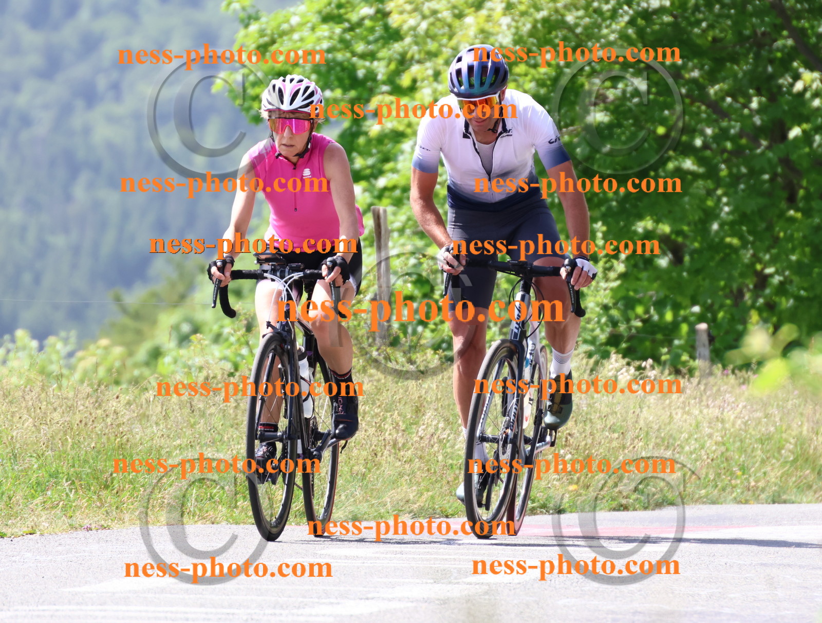 Col du grand Colombier (1375).JPG