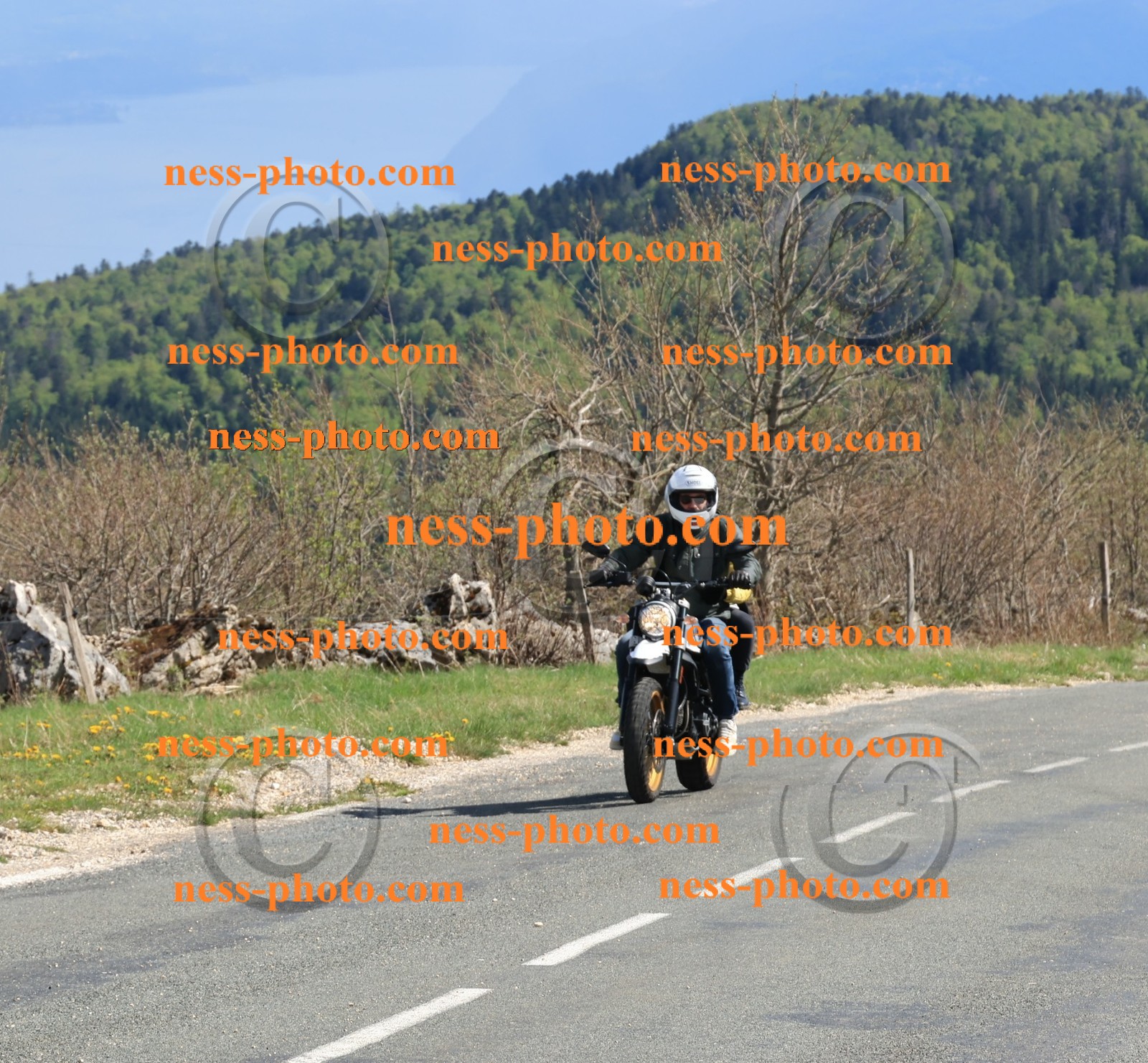 Col du Grand Colombier (245).JPG