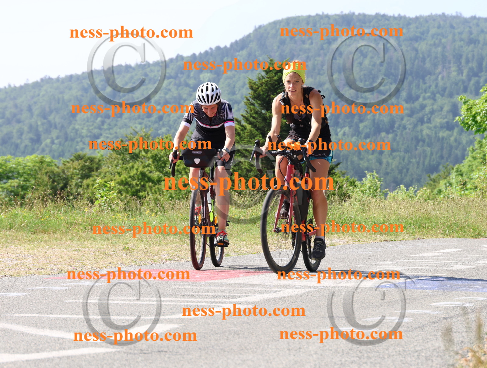 Col du grand Colombier (469).JPG